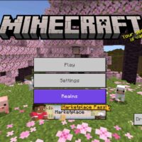 Download Minecraft 26.22 APK for Android