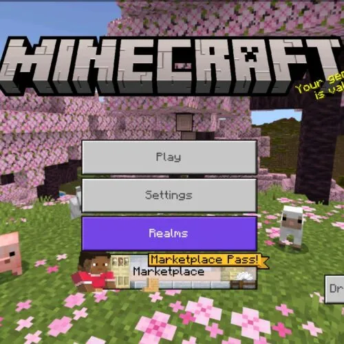 Download Minecraft 26.22 APK for Android