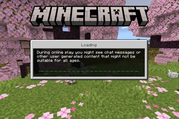 Minecraft 26.22 loading