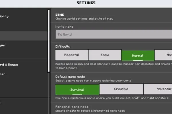 Minecraft 26.22 settings