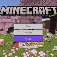 Download Minecraft 26.23