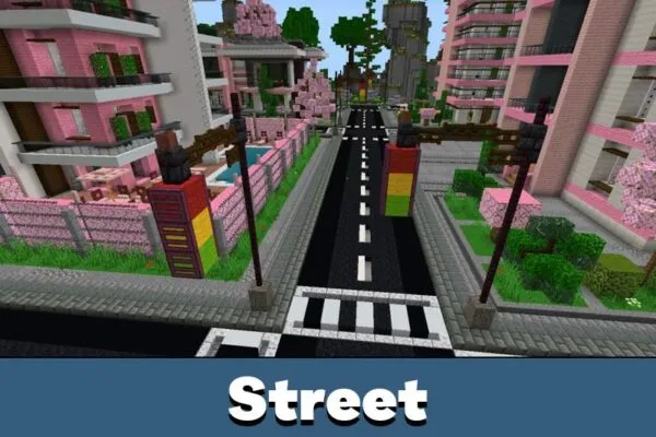 Street from Lovely City Map for Minecraft PE