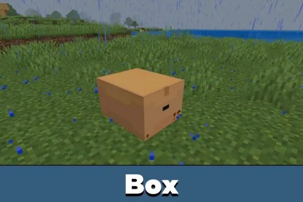 Box from Verity Mod for Minecraft PE