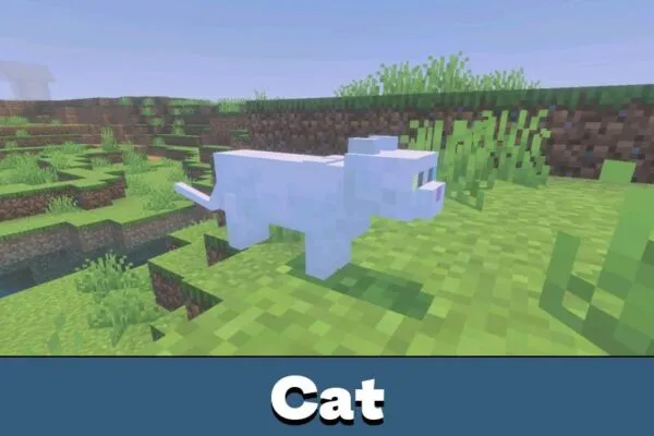 Cat from Newb Nightfall Shader Minecraft PE