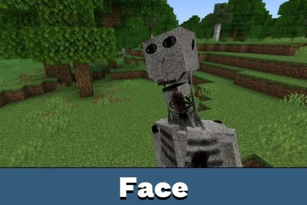 Face from Boy and the Bath Mod for Minecraft PE