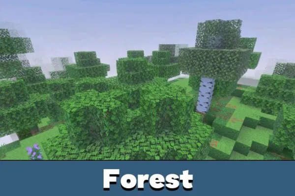 Forest from Alpha Optimizer Shader for Minecraft PE