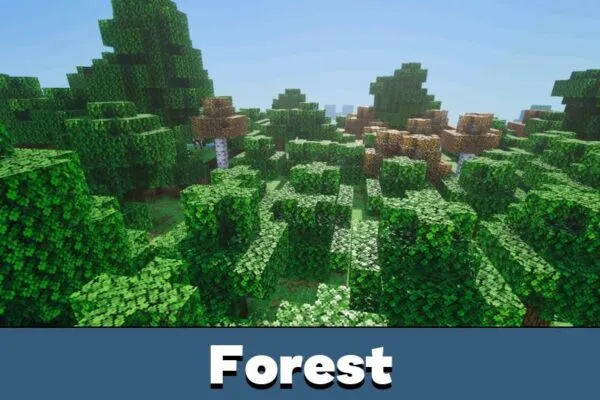 Forest from Astralex Visuals Shader Minecraft PE