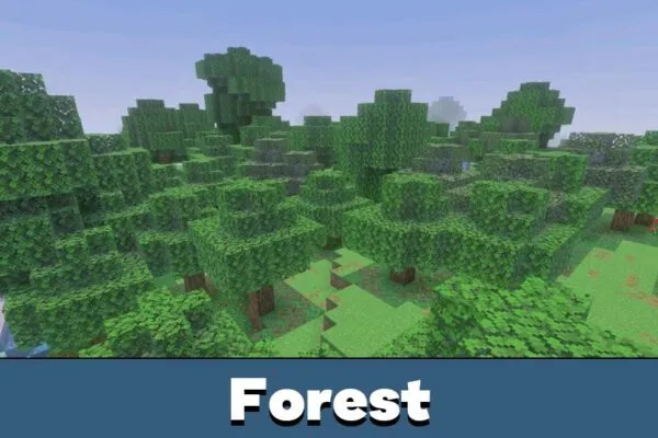 Forest from AziFy Revive Shader Minecraft PE
