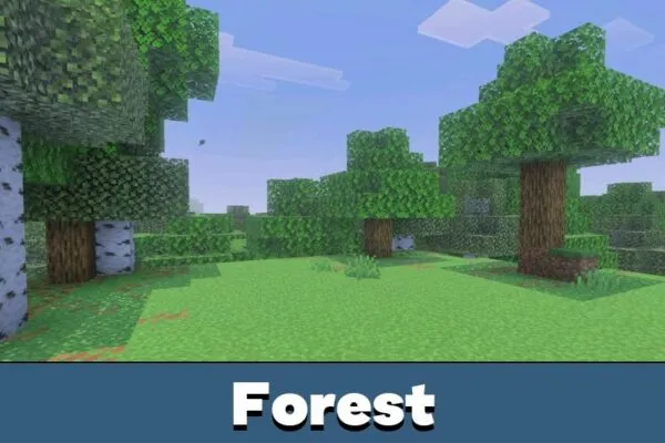 Forest from AziFy Truly Default Shader Minecraft PE