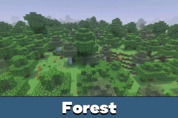 Forest from Continuum Shader Minecraft PE