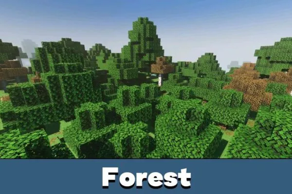 Forest from Definitive Vibrant Visuals Shader Minecraft PE