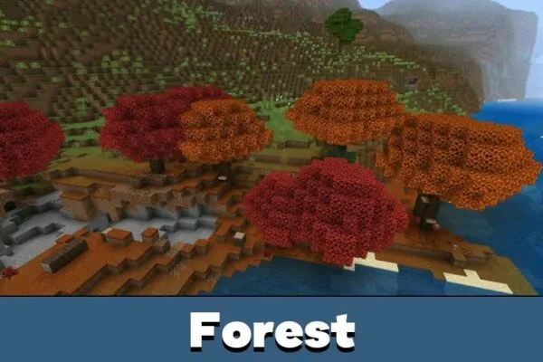 Forest from Minecraft 26.40.27