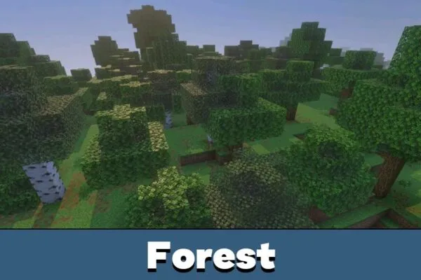 Forest from Newb X Blissful HDR Shader Minecraft PE