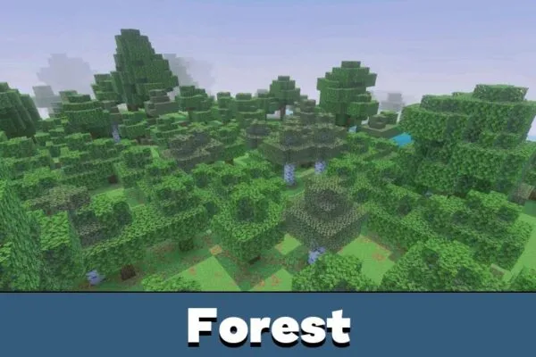 Forest from Newb X Dawn Shader Minecraft PE