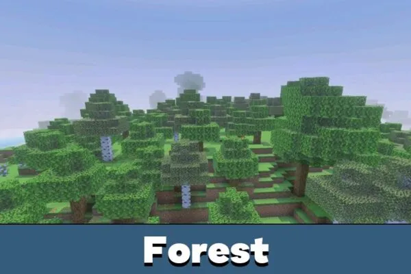 Forest from Newb X Dragon Shader Minecraft PE