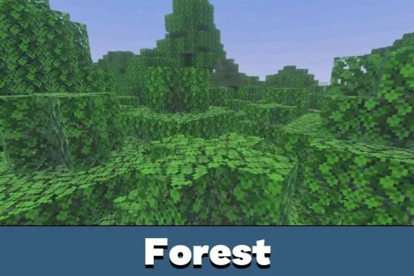 Forest from Newb x Flamingo Shader Minecraft PE