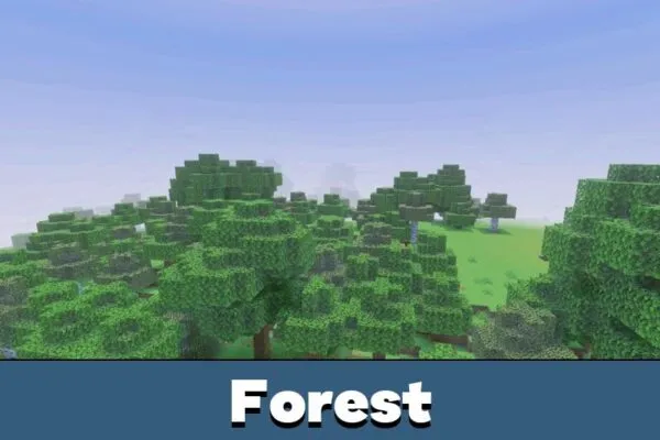 Forest from Newb X Dawn Shader Minecraft PE