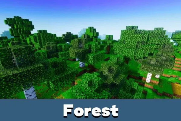 Forest for Realism Visuals Shader Minecraft PE