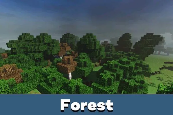 Forest from Revolution Vibrant Visuals Shader Minecraft PE