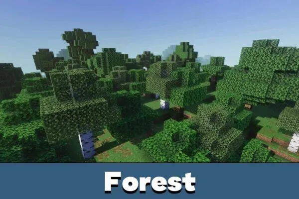 Forest from Zyra Visuals Shader Minecraft PE