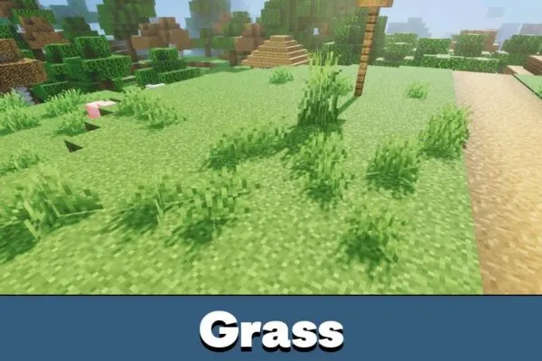 Grass from Astralex Visuals Shader Minecraft PE