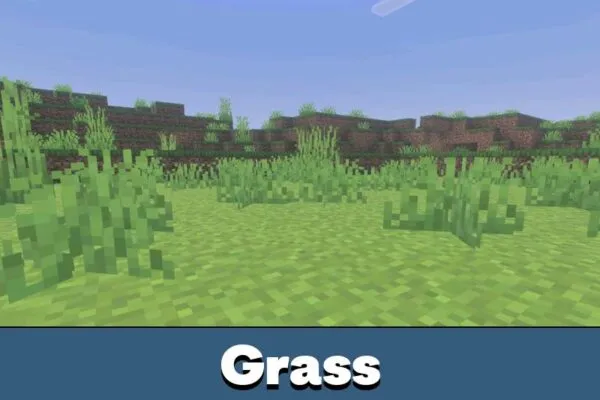 Grass from AziFy Truly Default Shader Minecraft PE