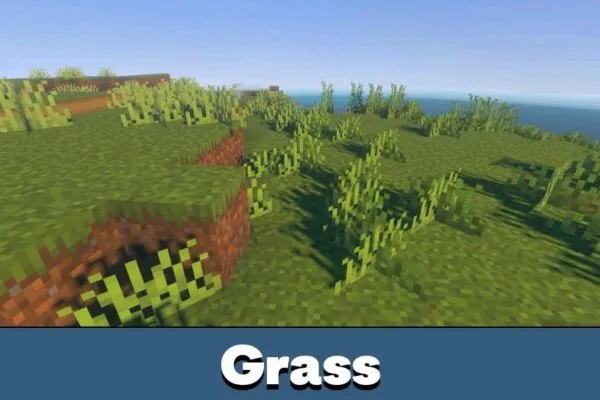 Grass from Better Vibrant Visuals Shader Minecraft PE