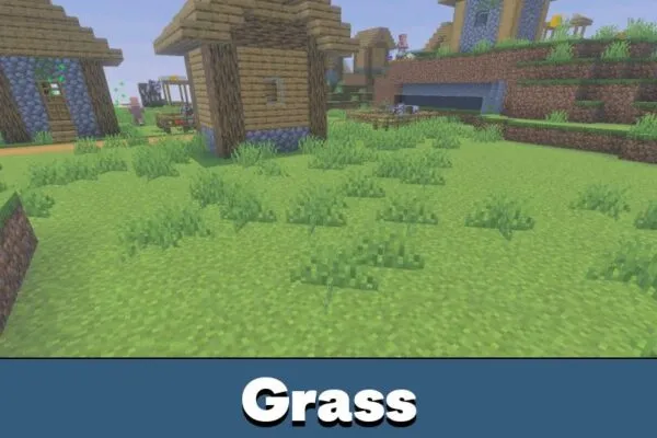Grass from Continuum Shader Minecraft PE