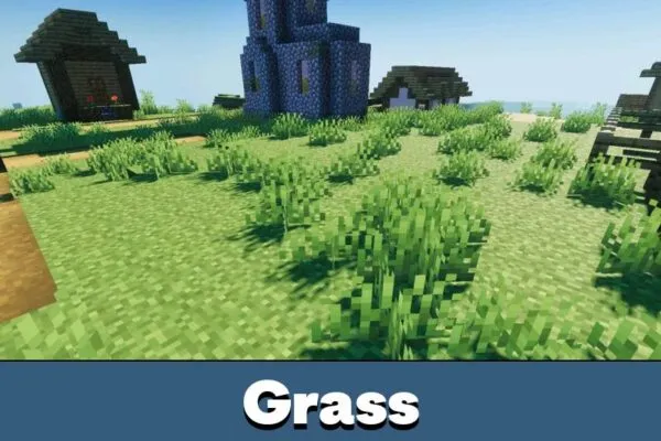 Grass from Definitive Vibrant Visuals Shader Minecraft PE