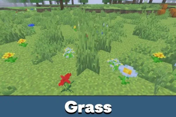 Grass from Newb Explementary Shader Minecraft PE