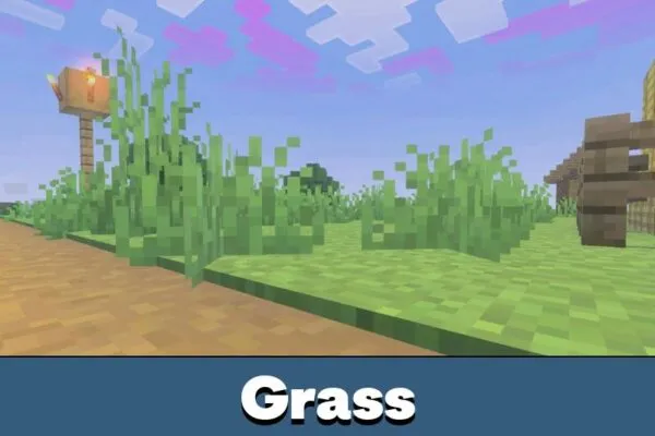 Grass from Newb Nightfall Shader Minecraft PE