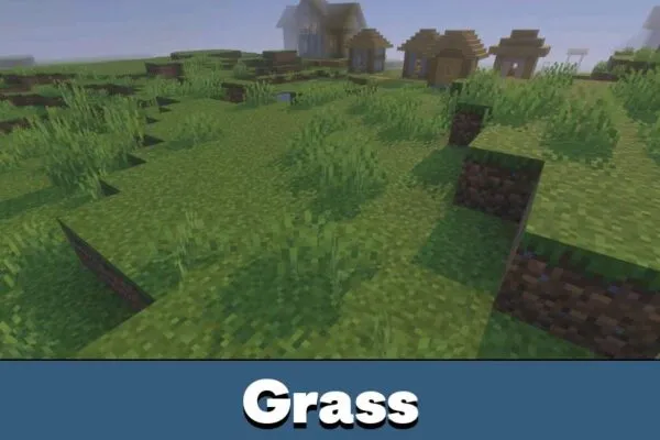 Grass from Newb X Blissful HDR Shader Minecraft PE