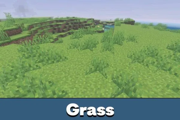 Grass from Newb X Dawn Shader Minecraft PE