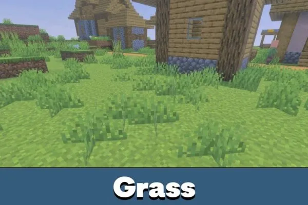 Grass from Newb X Dragon Shader Minecraft PE