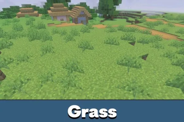Grass from Newb x Flamingo Shader Minecraft PE