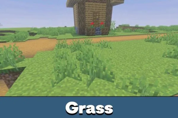 Grass from Newb X Dawn Shader Minecraft PE