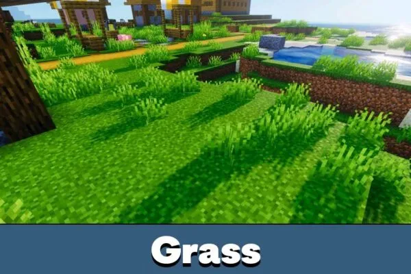 Grass for Realism Visuals Shader Minecraft PE