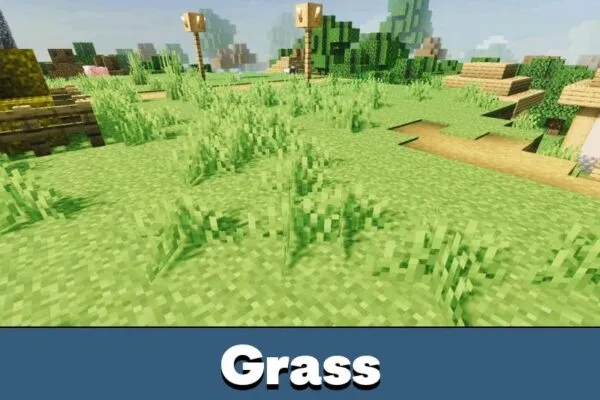 Grass from Revolution Vibrant Visuals Shader Minecraft PE