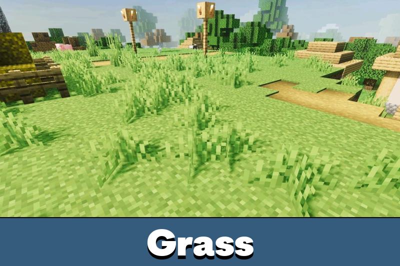 Download Revolution Vibrant Visuals Shader Minecraft PE