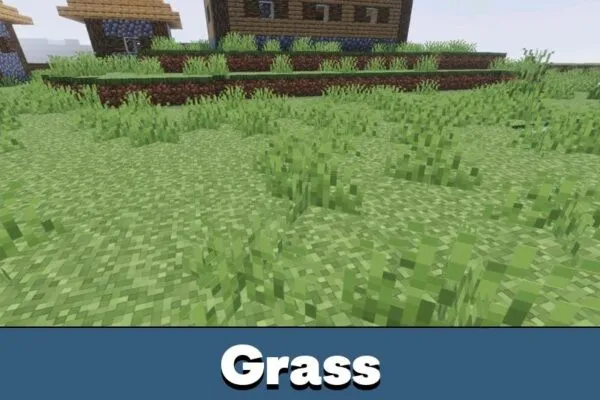 Grass from Vibrant Visuals Extreme Shader for Minecraft PE