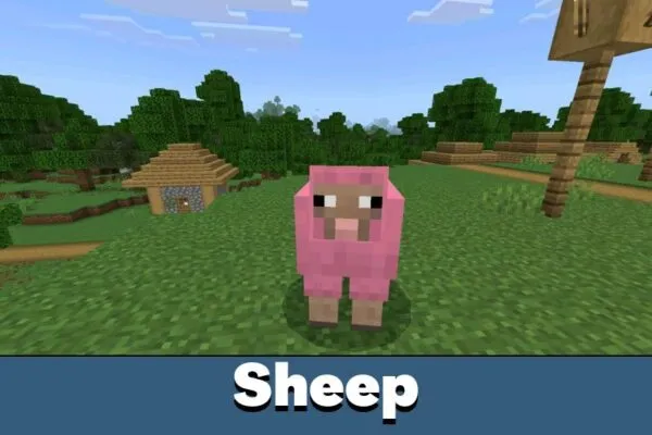 Sheep from Adha Craft Mod for Minecraft PE