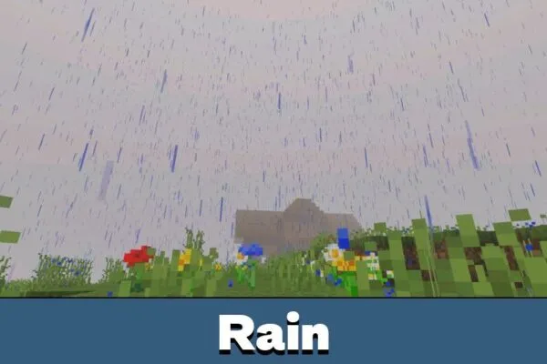 Rain from Newb x Flamingo Shader Minecraft PE