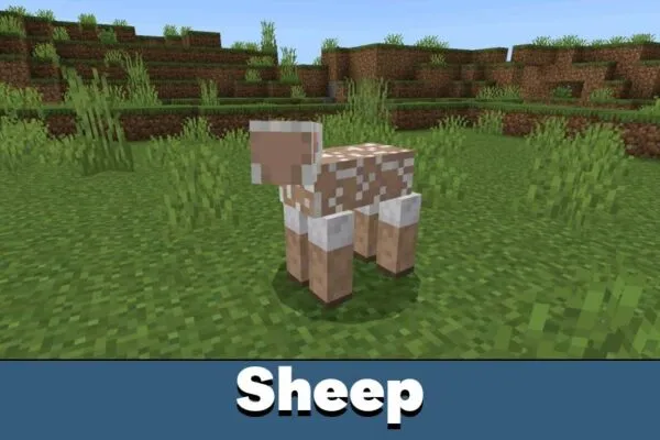 Sheep from Flywheel of Terror Mod for Minecraft PE