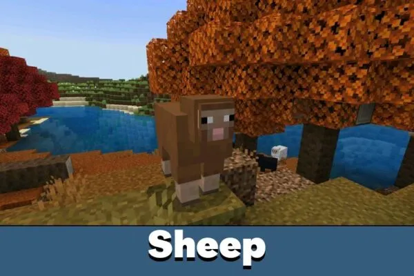 Sheep from Minecraft 26.40.27
