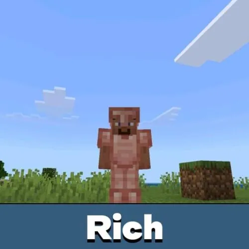 Rich Mod for Minecraft PE