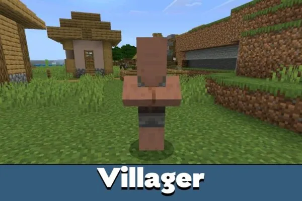Villager from Flywheel of Terror Mod for Minecraft PE