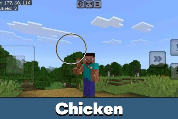 Chicken from Java Saturation and Regeneration Mod for Minecraft PE