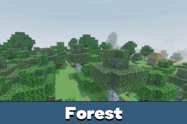 Forest from Brazz Shader for Minecraft PE