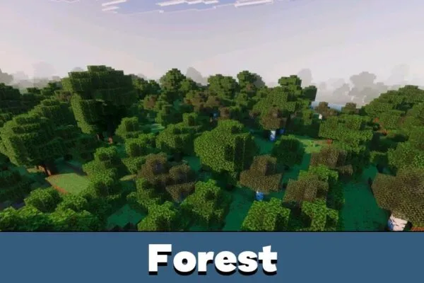 Forest from Dreamy Visuals Shader for Minecraft PE