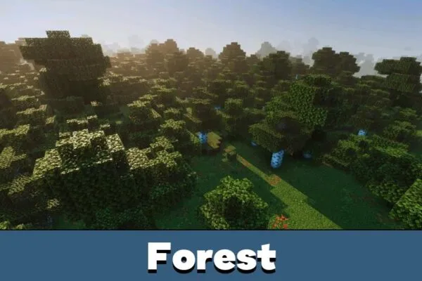 Forest from ZenXveda Shader for Minecraft PE